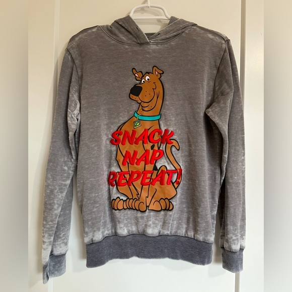 Scooby Doo Hoodie - Picture 1 of 3